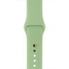 Mint Sport Band with Plated Pin