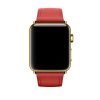 Classic Buckle Red with Plated Hardware - Image 2