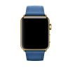Classic Buckle Sea Blue with Plated Hardware - Image 2
