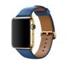 Classic Buckle Sea Blue with Plated Hardware - Image 4