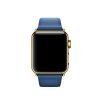 NEW Classic Buckle Sapphire with Plated Hardware - Image 3